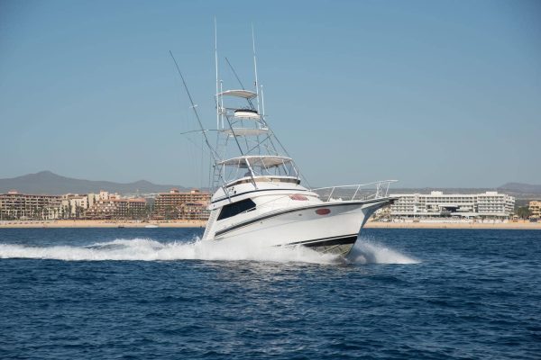 Charter-Boats-Cabos-r5724ychw92h6ihn73091w3pvuvixac7dwp2t6kiow